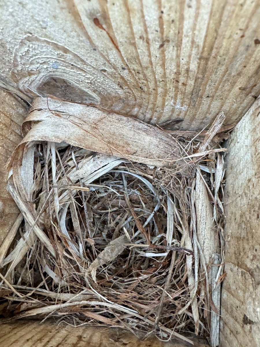 Gotland Blåmes tweet media