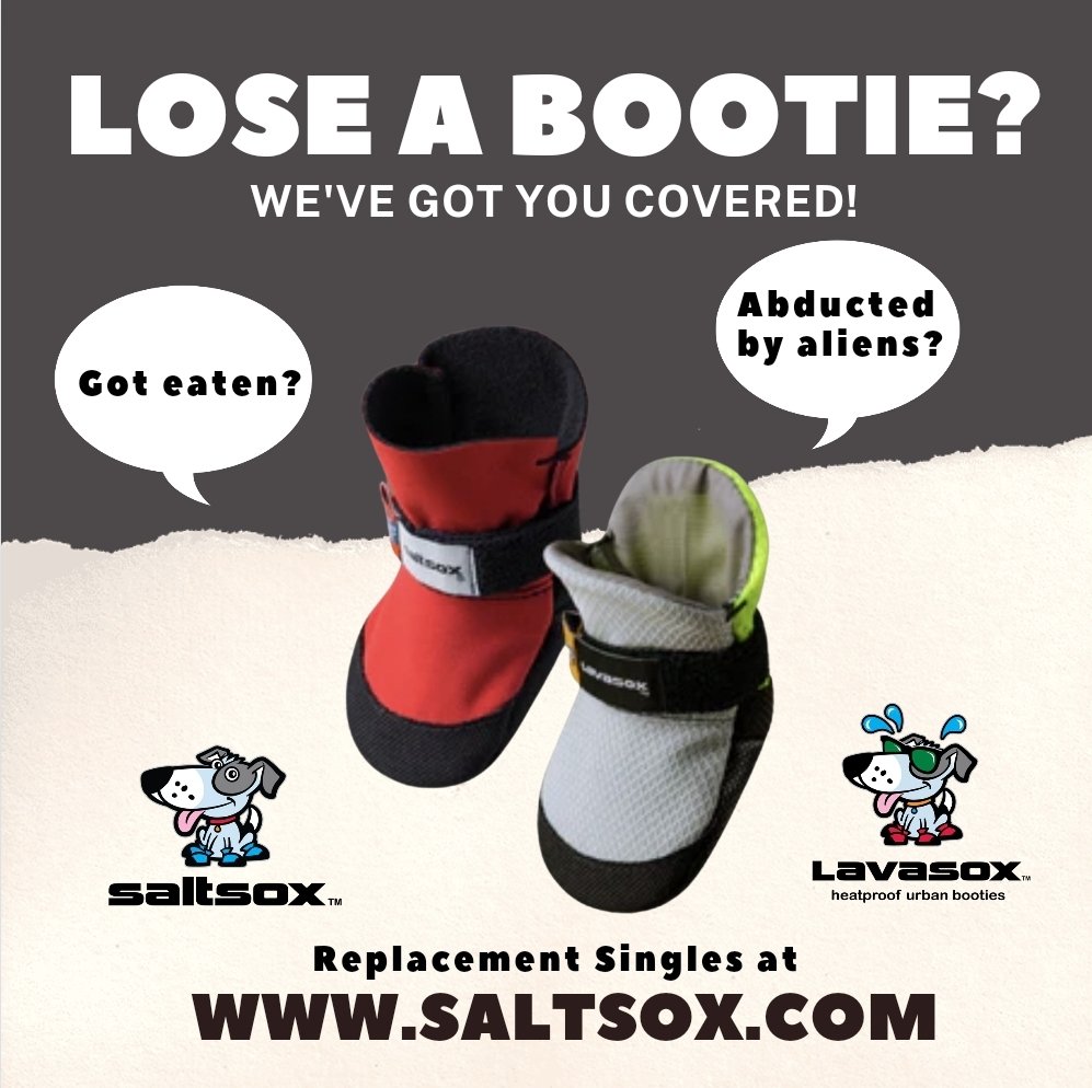 It's National Lost Sock 🧦 Memorial Day but that doesn't mean you have to say goodbye 👋 forever to a lost Saltsox bootie! 🐾 Did it get eaten? 🍴 Abducted by aliens? 👽 No matter the reason, if you need to replace a boot 🥾 we've got you covered with our replacement singles.