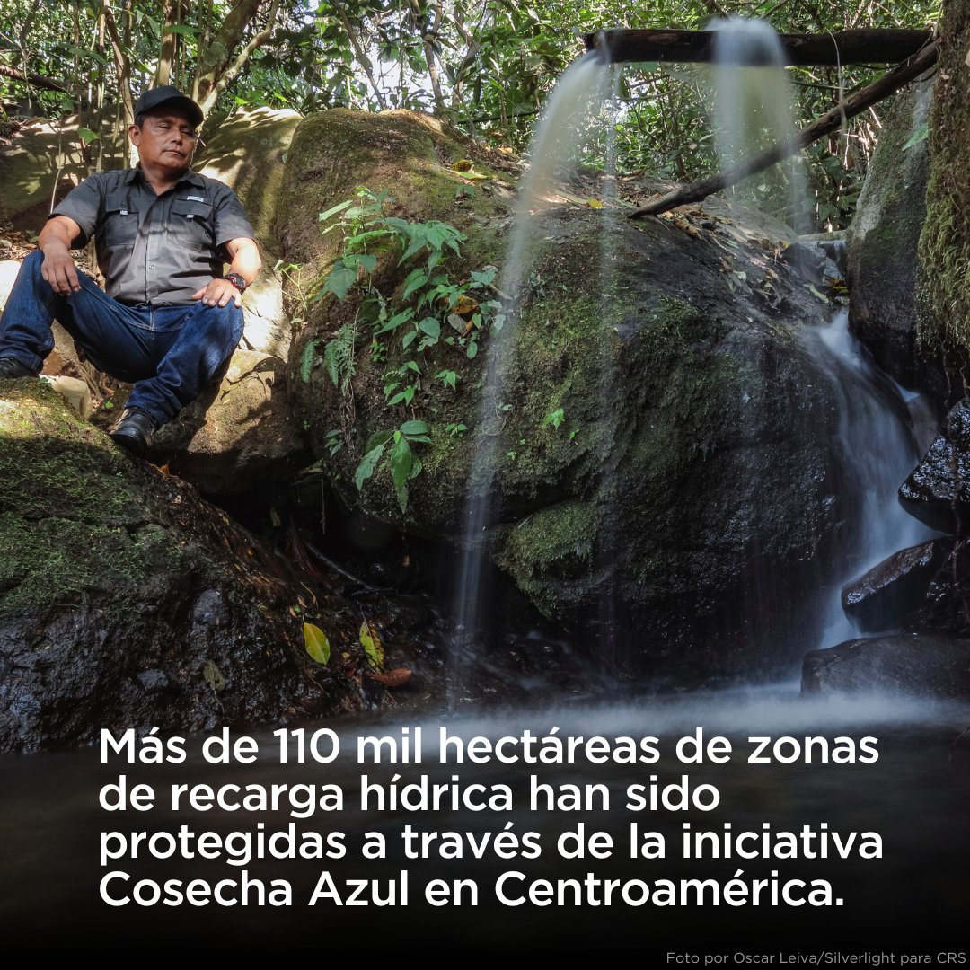 RT CRSEspanol 'Con Cosecha Azul, 5 500 productores de café de #Centroamérica han mejorado sus ingresos y la economía de sus comunidades, pero también han generado un impacto positivo en el #medioambiente, al aplicar prácticas agrícolas sostenibles que c… '