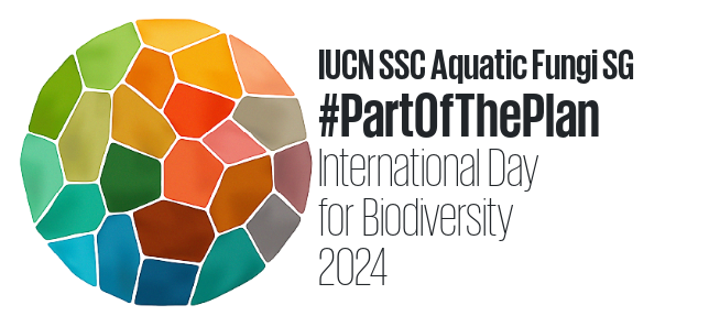 #IUCNSSCAquaticFungiSG is already #PartOfThePlan!

To celebrate #BiodiversityDay we are co-organising with @FUNACTION_EU @ProtectSpecies @MoSTFun_EU the webinar: Aquatic Fungi Diversity.

22 May 2024 | 14:00 UTC
Register here: tinyurl.com/aquaticfungi

#aquaticfungi #conservation