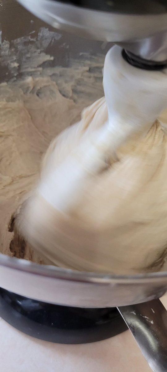 Maki g sourdough cinnamon rolls for Saturday's 'Mom's retreat.' Do you think St Anthony will find the scrap of bay leaf from the flour that fell into the dough?