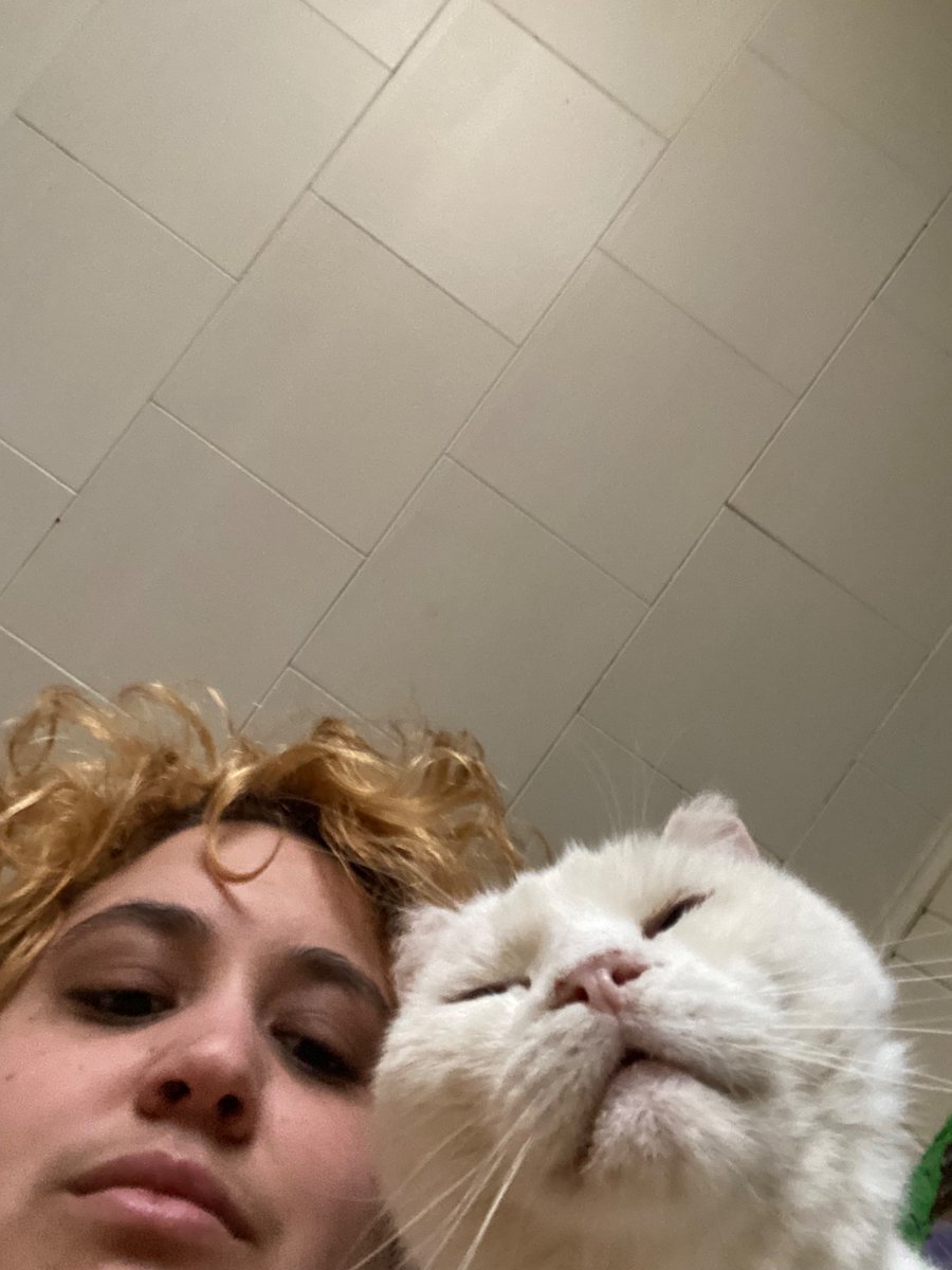 planetary_rings's tweet photo. our sweet baby isnt doing well healthwise please send him some love and luck https://t.co/qmy6caezSn