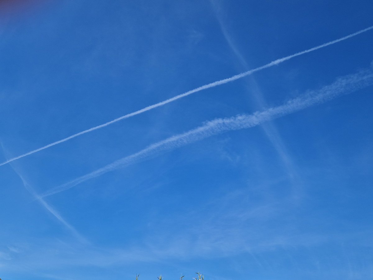 Just where that X was 5 minutes ago I look bk up an this appeared, blink an you miss em but through the lingering trails they leave there marks of toxicity behind 👆