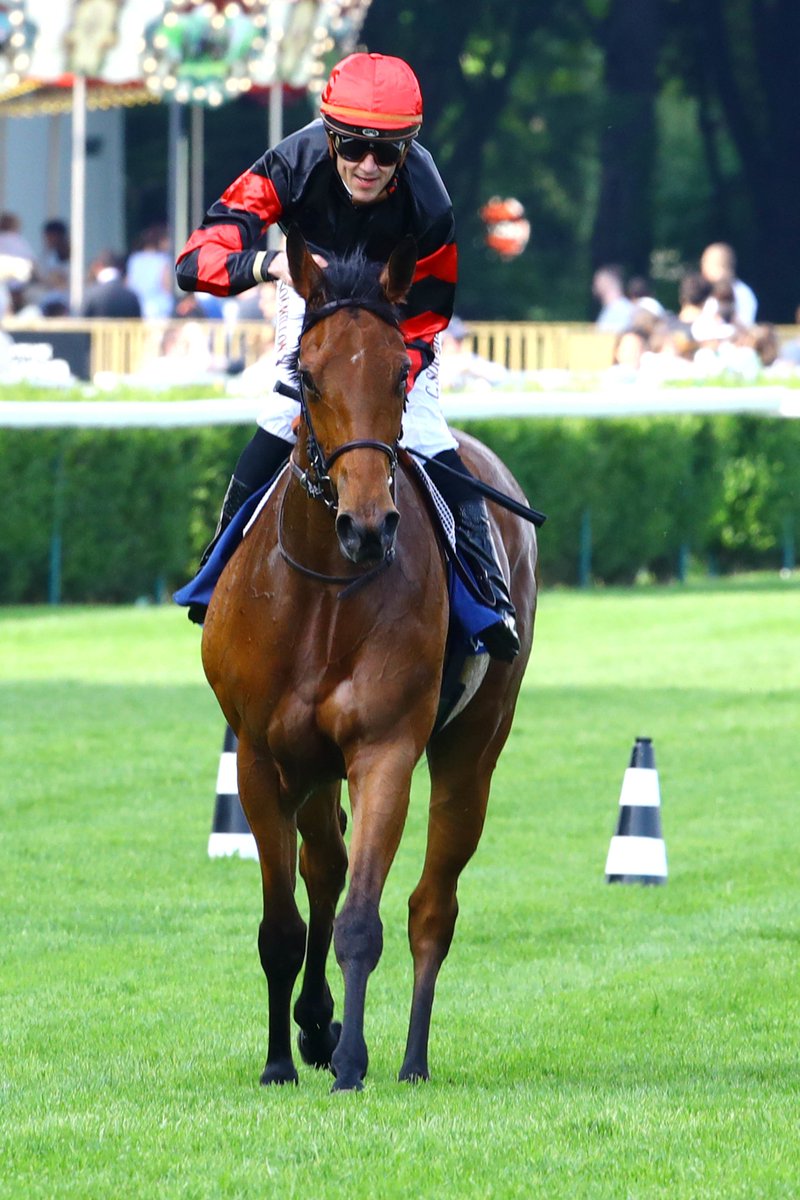 🌹The namesake of our feature race on Saturday Jannah Rose had a stellar race record for @alshiraaracing 🏆Grp 1 Prix Saint-Alary 🏆Grp 2 Prix Alec Head 🏆Grp 3 Prix Vanteaux Now in foal to Dubawi, what could the future hold🤩 Read more about her here 👉shorturl.at/elstR