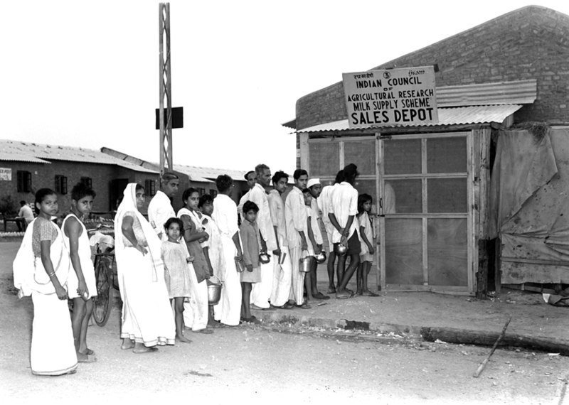 1951 :: Ladies and Children Waiting In Queue to Buy Milk In Delhi ( Photo Division )
