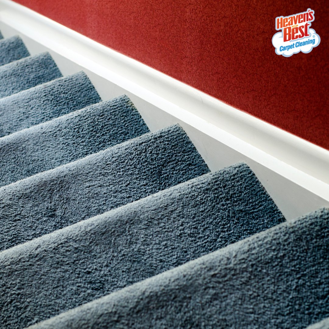 ✨ Step Up Your Carpet Game With Heaven's Best Carpet Cleaning! ✨

Visit our website to learn more about our low-moisture carpet cleaning process - your carpets will be dry in just one hour!

ilvillages.heavensbest.com
#heavensbest #naperville #bestofnaperville #carpetcleaning