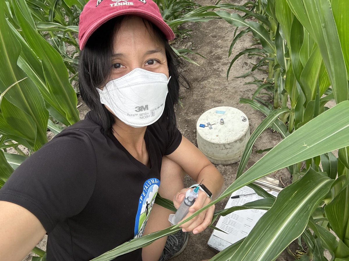 Nitrous oxide is sometimes called laughing gas, but N2O emissions from agricultural fields are no laughing matter. It's a major greenhouse gas. Wendy Yang @UofIllinois & @CABBIbio is investigating what causes these emissions and how to limit them: asc.illinois.edu/uncategorized/…