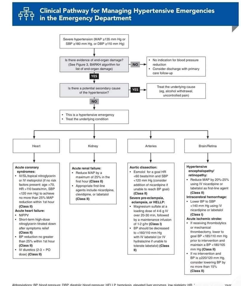 🔴 Hypertensive Emergencies: Guidelines and Best-Practice Recommendations

ebmedicine.net/topics/cardiov…
#cardiology #Cardiotwitter #CardioEd #meded #medtwitter #diagnosis