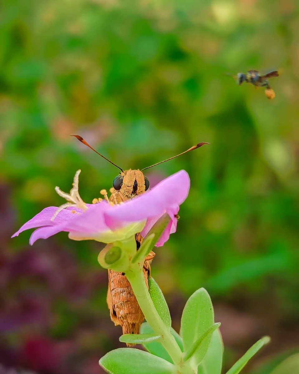 That awesome moment of capturing Action....
Shot on :- @oneplus
#actionphotography #ShotOnSnapdragon 
#ShotOnOneplus 
@ThePhotoHour @Snapdragon_UK 
@gregcroc @KinderLiu @UKHonor 
@motorolaUK