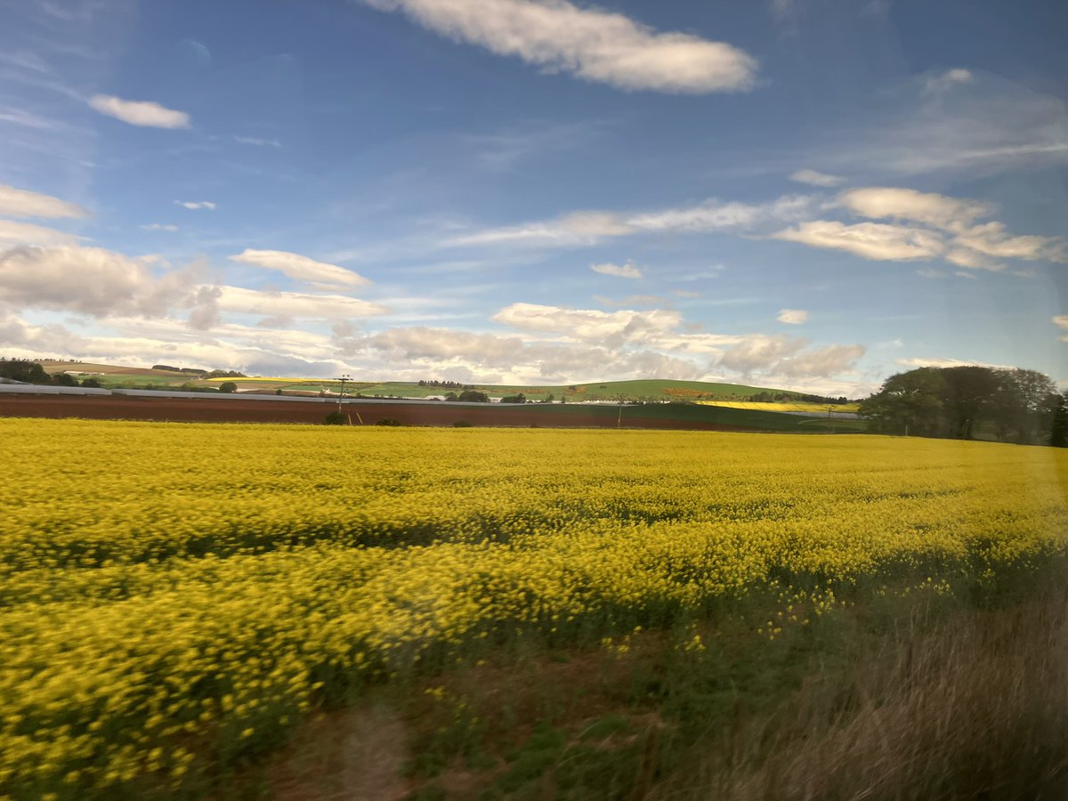 Edinburgh_CLW's tweet photo. On the way back from a lively day of discussions in Aberdeen about link working &amp; social prescribing. Clear consensus that we need a framework to ensure all programmes are working to similar guidelines so that credible evaluation can take place https://t.co/wsvcPvPYGn