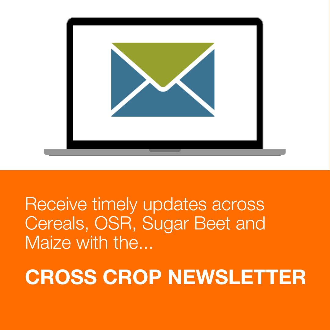 Technical specialists from our Cereals, OSR, Sugar Beet and Maize teams come together to discuss timely and relevant issues in our monthly CROSS CROP newsletter.👏 Sign up to be the first to receive the latest issue by email👉ow.ly/L4pn50RuQcj