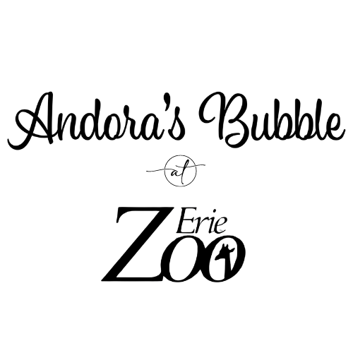 We just had to share!
Andora's Bubble is now open at the Erie Zoo! Located at the children’s zoo concession stand, we are open every day from 10am to 4:30pm 📷 Serving many of our customer favorites as well as a new “Bubble Pop” fountain drink series and some food items too!