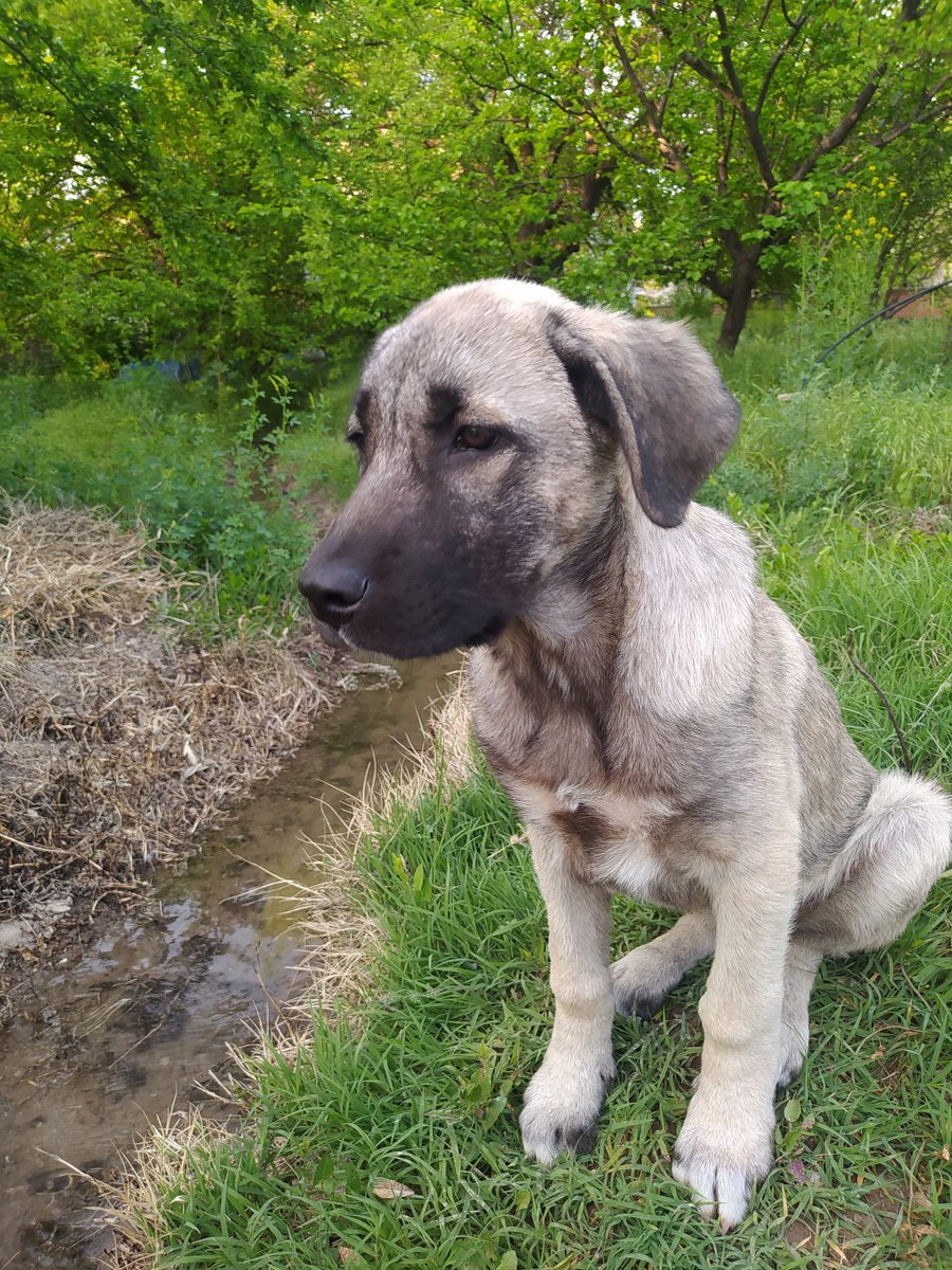 Bu sene de bu var❤ Terlik hırsızı.