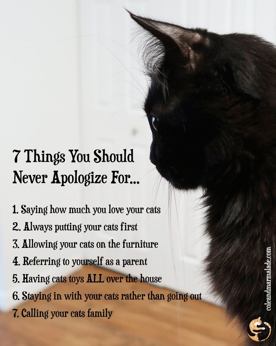 Anymore we need to add to the list? 🖤🐾 #CatsAreFamily #ThursdayThoughts