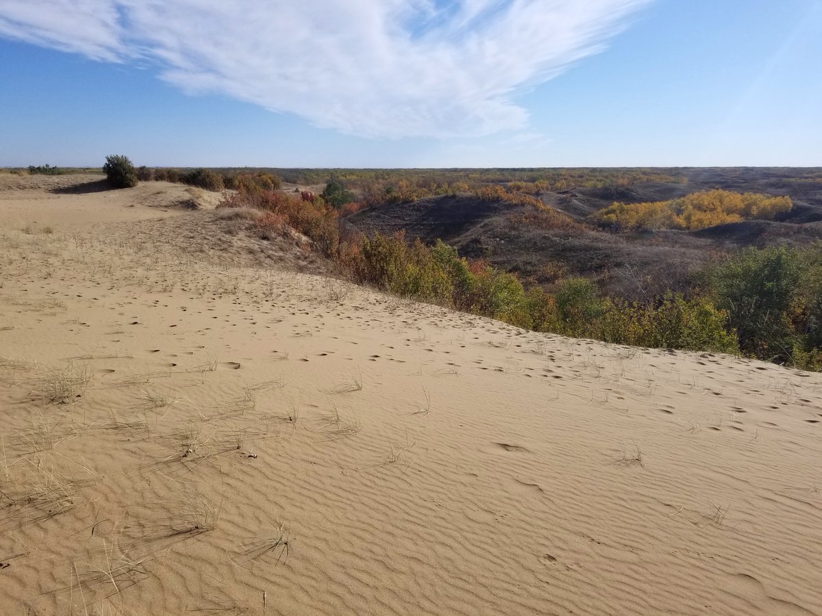 We are energizing conservation efforts in the Southwest Sandhills of Saskatchewan! We are excited to sponsor the important work that @NCC_CNC  is leading in the area. Learn more: go.saskenergy.com/3WA1SU7