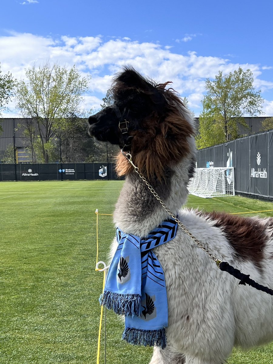 Minnesota United FC tweet media