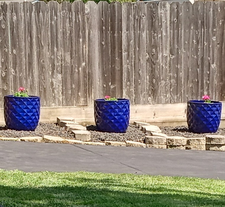 I Put some large pots going to place some small palm trees in But for now just flowers. #gardening #success #design #vases