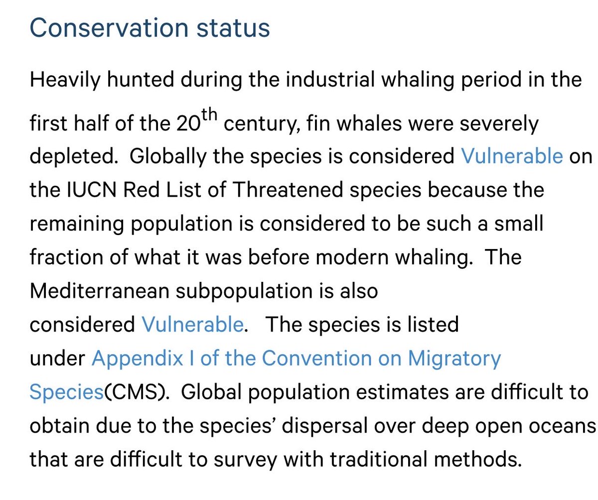 #Japan Japan is open to public consultation until June 5th on slaughtering fin whales. In 2023, Japan killed 294 minke, Bryde’s and sei whales - the 2024 quota is 379. This is your chance to say what you feel about Japan killing fin whales👇 kantei.go.jp/foreign/forms/…