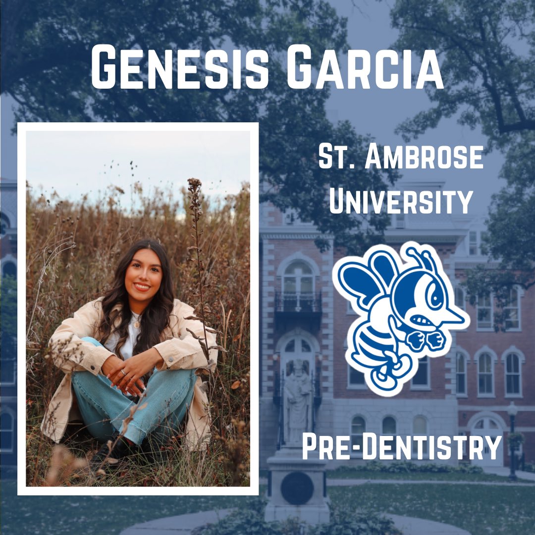 LP Renaissance tweet media