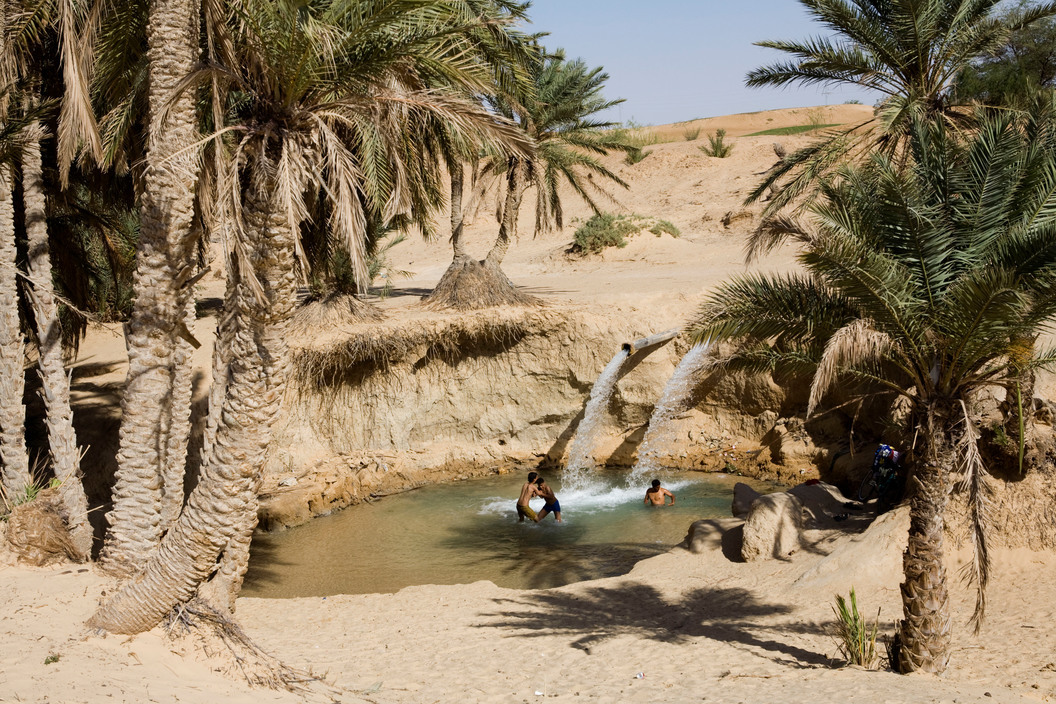 Tozeur, South Tunisia, 2008 🌴