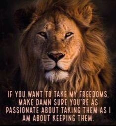 We need the fierceness of the Lions back. WWG1WGA. If you want to take My Freedoms. 🇺🇸 Make sure you are as passionate about Taking them as I am on keeping them. @LionessDeb19 @USA4ever65 @JSNicholas2 @Corgi_MAGA @1109Patricia @1mZerOCool @PaulaRed62 @BackachaFh…