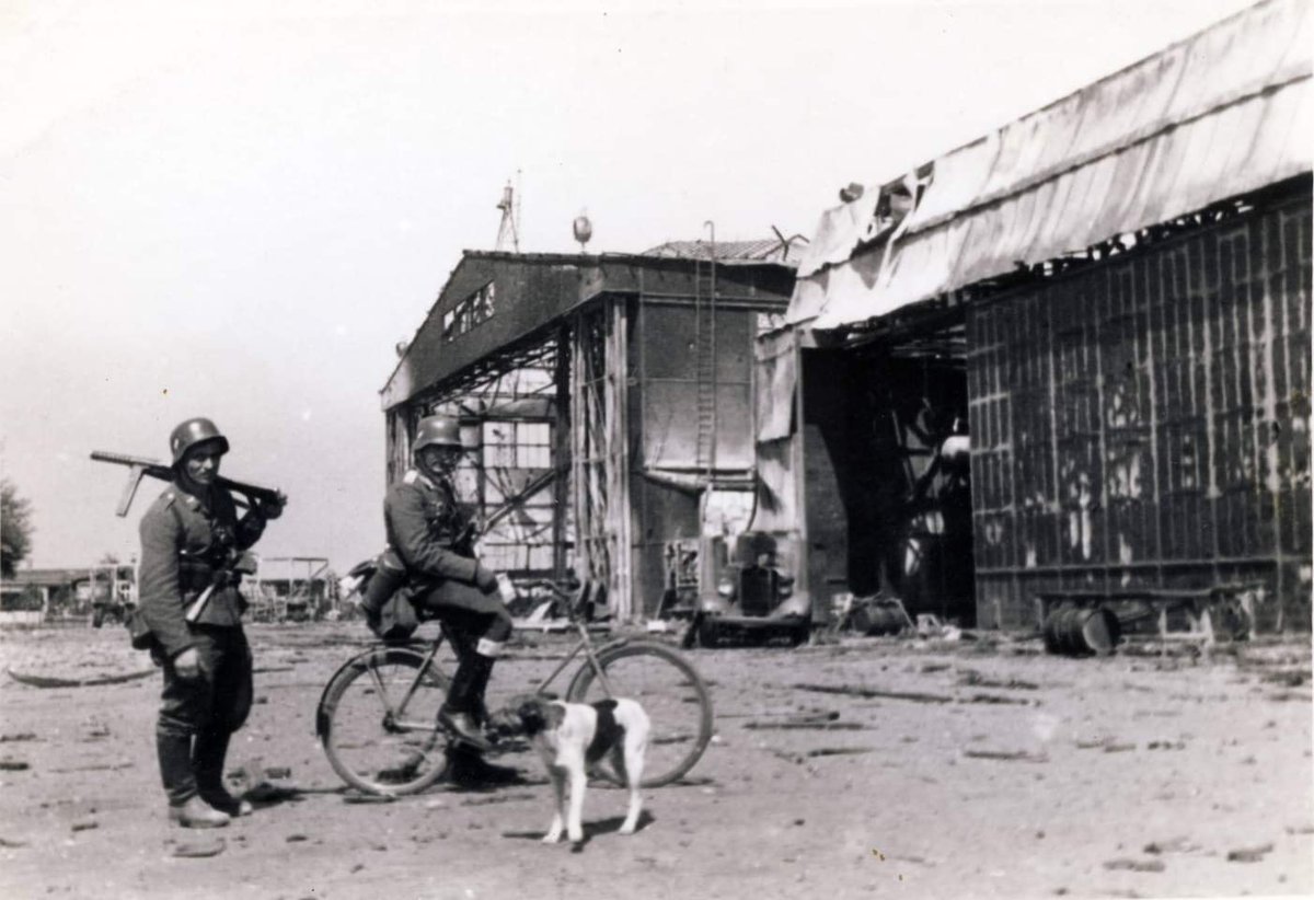 Duitse soldaten poseren met een fiets en een hond bij de restanten van een hangaar op militair vliegveld Waalhaven.