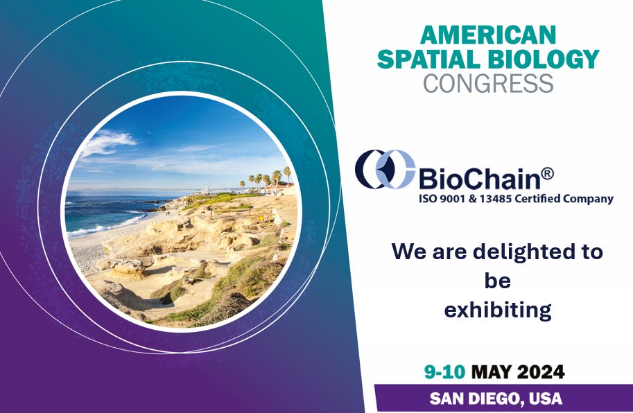 BioChain's tweet photo. We are elated to attend the first day of Global Engage's American Spatial Biology Congress! Visit us at Booth 5— we'd love to hear about your projects!

Or, click to schedule a 1:1 meeting at https://t.co/q8FNXlaXDx https://t.co/tDP4IQ8sqH