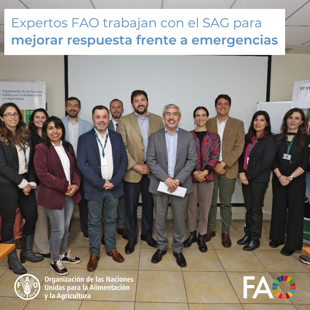 🤝Profesionales de @FAO Roma🇮🇹 realizaron un intensivo trabajo junto al @sagchile y otras reparticiones públicas🇨🇱, para evaluar acciones que favorezcan una gestión integral de respuesta de la dimensión animal en eventos no sanitarios en Chile. ➕ fao.org/chile/noticias…