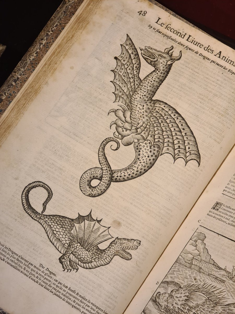 Ariane Lepilliet tweet media