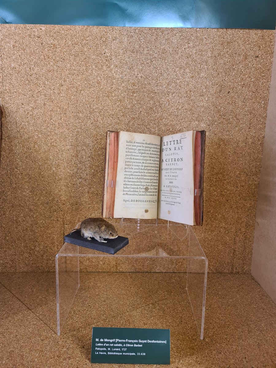 Ariane Lepilliet tweet media