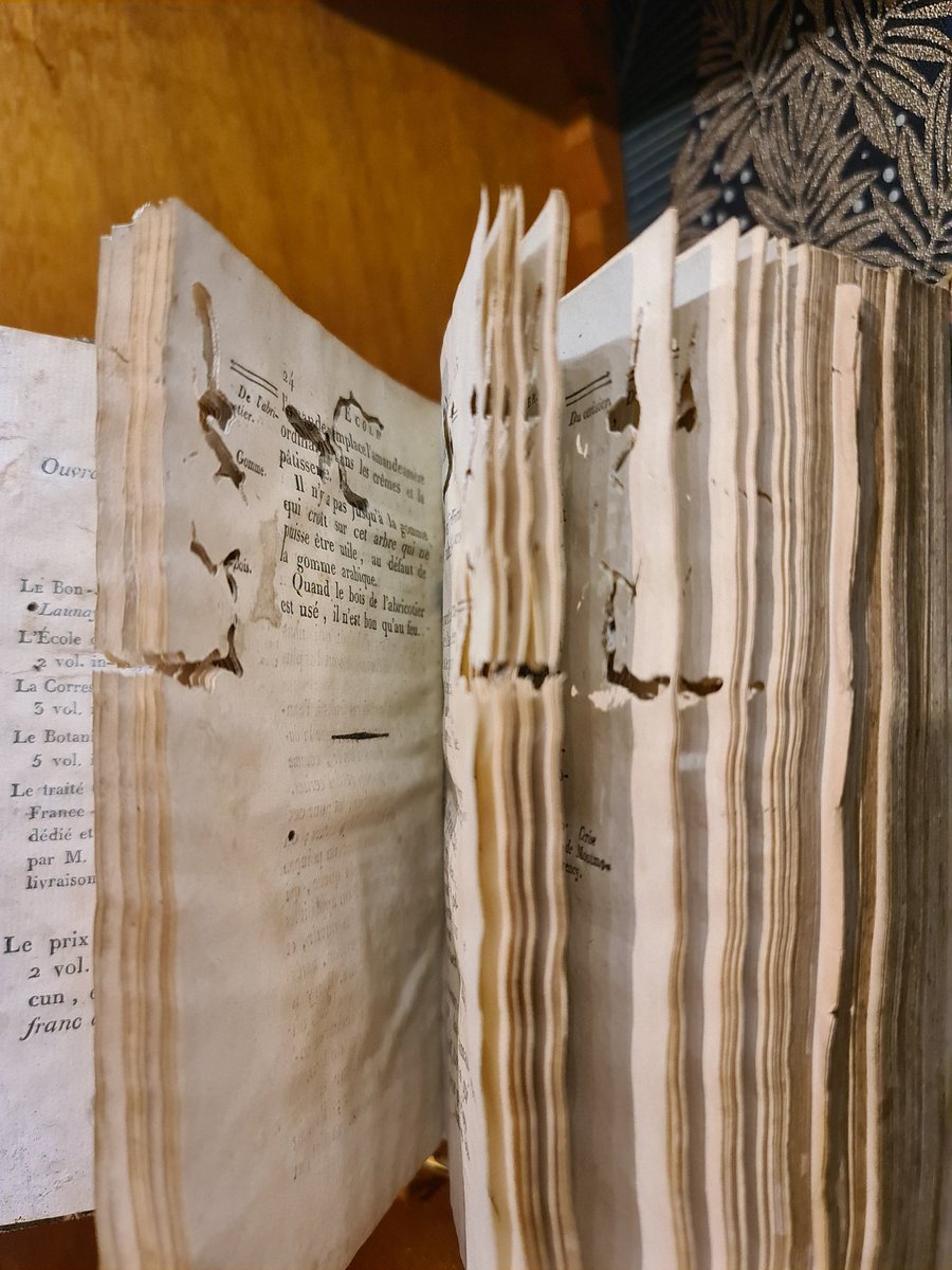 Ariane Lepilliet tweet media