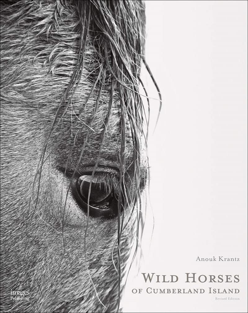 Wild Horses of Cumberland Island (Hardcover) by Anouk Masson Krantz
Exceptional fine art photography 12 years in the making of the landscape and wild horses of Cumberland Island 
Available Here: amzn.to/3LgrI98

#photography