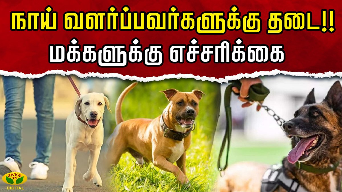 JayaTvOfficial's tweet photo. நாய் வளர்ப்பவர்களுக்கு தடை!! மக்களுக்கு எச்சரிக்கை | 23 Types of Banned Dogs | JayaTv
Link: https://t.co/juyxWeHfkW
#banneddogs #dogs #banneddogsinindia #dangerousdogs #banneddogbreeds #23breedsofdogs #23dogbreedsbanned #mostdangerousdogs #aggressivedogs #breedsofdogs #illegaldogs #Pitbull #DosaInu #AmericanStubfordShireTerrier #CanarioAgbasDachshund #MoscowCortDachshund #Cancarzo #Bandach