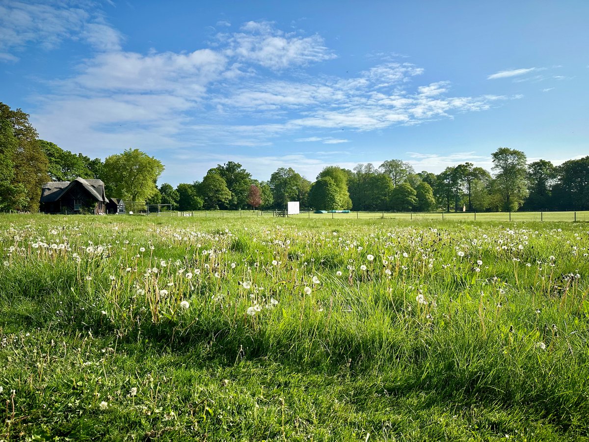 There’s no such thing as #NoMowMay here at #ClumberPark. We’ve been regularly ‘no mow-ing’ much of the park for many years. Leaving grass to grow increases biodiversity and provides a vital food source for pollinators like bees & butterflies.📷Tracy Byfield/Tammy Herd/Jo Mather