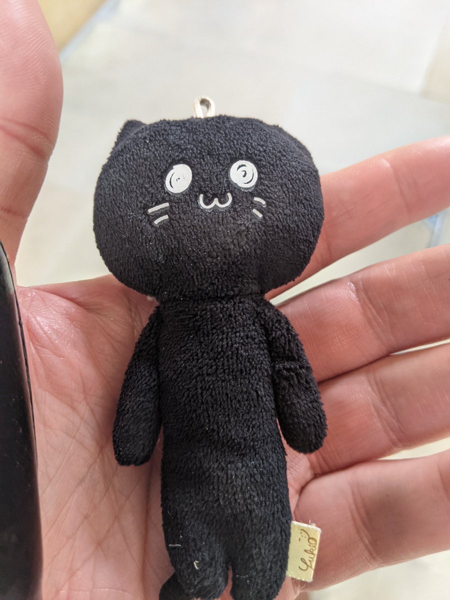 EricTorrington's tweet image. #30second #cat rescue #Bath. #litter #cats #wombling