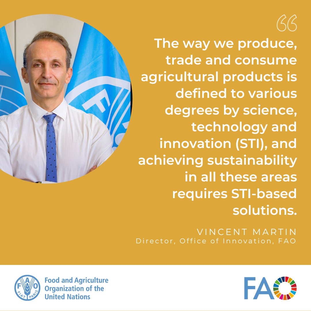 During an #STI Forum side-event, @FAO's @MartinVncnt highlighted how STI serve as a foundation for the FAO Strategic Framework 2022–31, as the role of STI is indispensable to accelerate progress for achieving agrifood system transformation and #SDG2. #Tech4SDGs