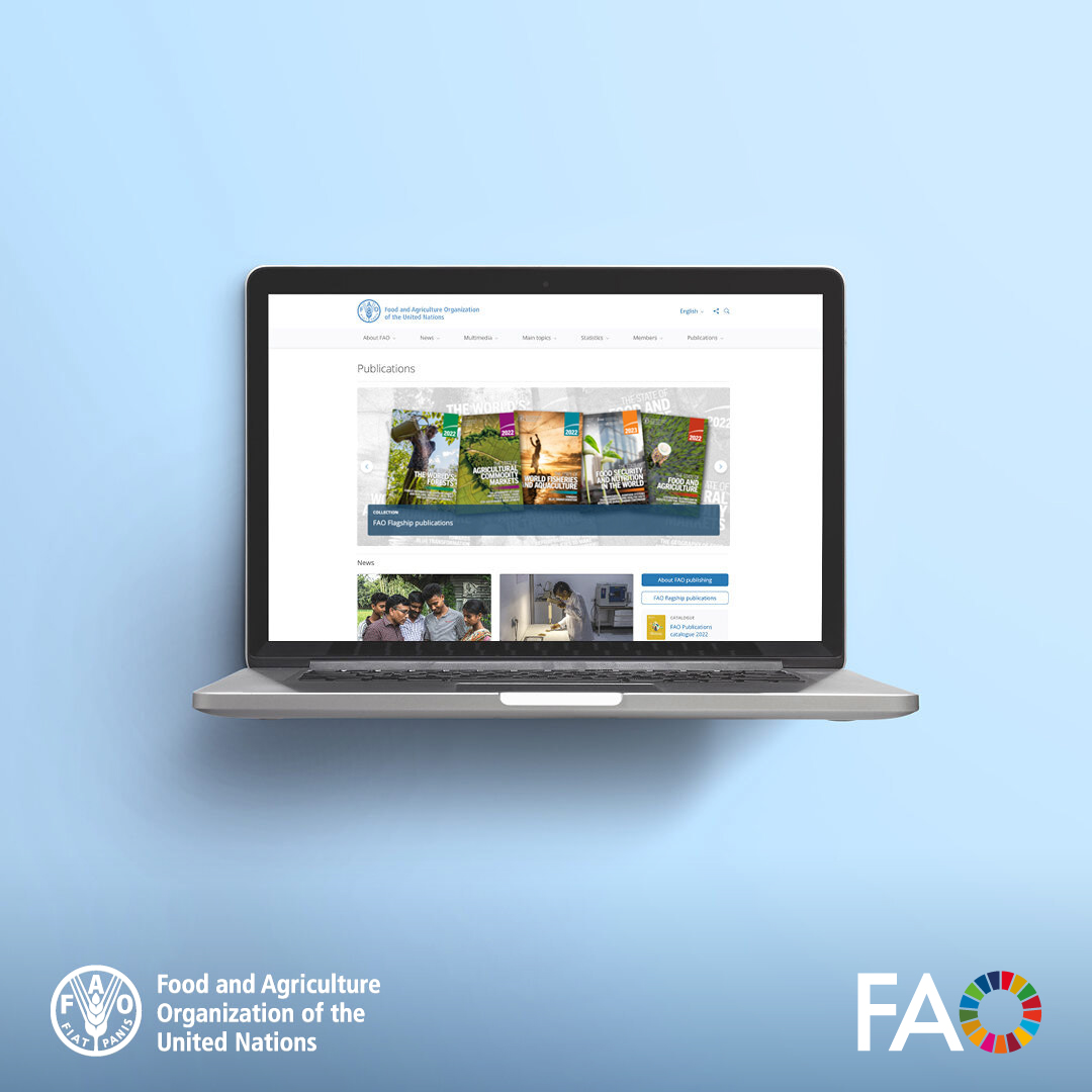 Interested in the latest research on food security, agrifood systems, animal health and related topics? Then @FAO's Publications page is the place to visit (and stay a while) 👉 ow.ly/Jiyn50RA45k