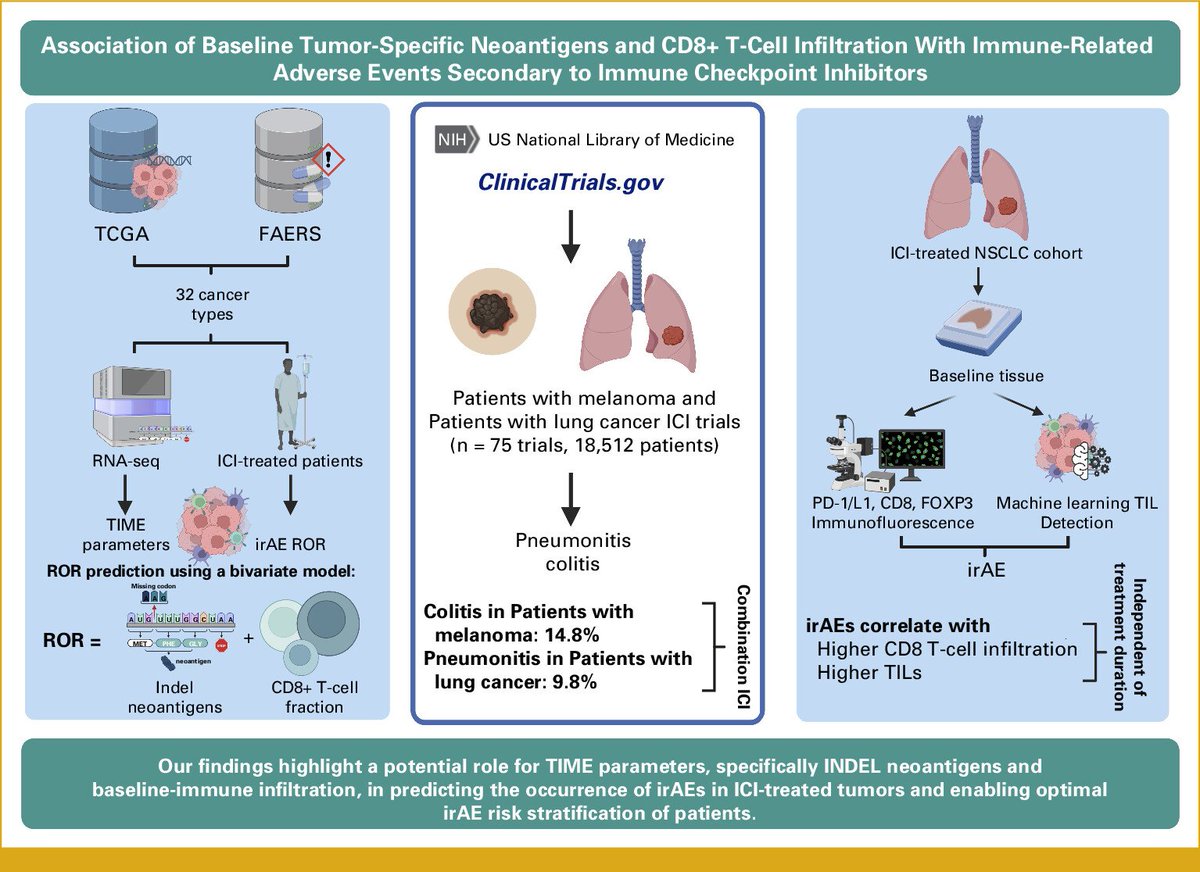 Association of Baseline Tumor-Specific Neoantigens and CD8+ T-Cell Infiltration With Immune-Related Adverse Events Secondary to Immune Checkpoint Inhibitors [Feb 8, 2024] @CsabaKerepesi et al. @JCOPO_ASCO
ascopubs.org/doi/full/10.12… #PrecisionMedicine #ImmunoOnc #irAE