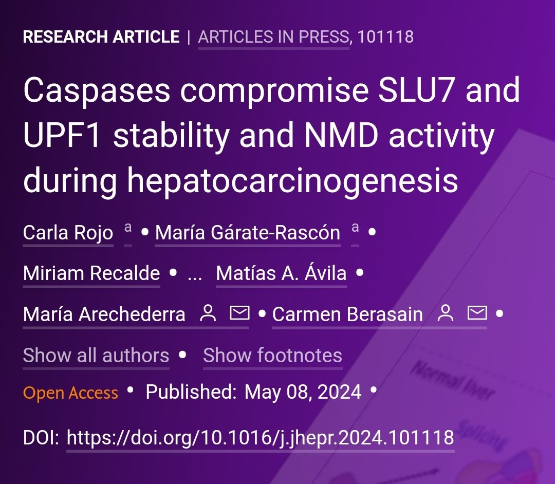🟪NEW Article in press❕ Caspases compromise SLU7 and UPF1 stability and NMD activity during hepatocarcinogenesis 🔓#OpenAccess at 👉jhep-reports.eu/article/S2589-… #LiverTwitter #LiverCancer