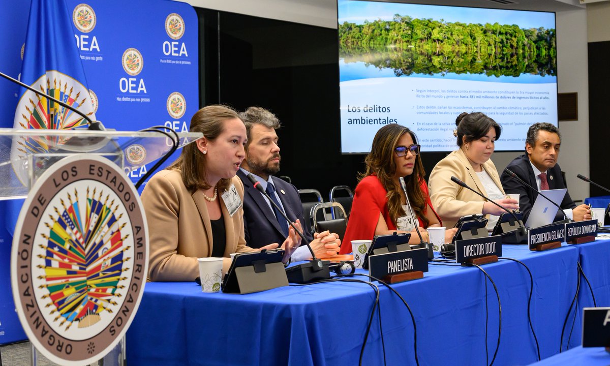 Tuve el gusto de presentar sobre el 'El uso de estrategias ALD/CFT para combatir los delitos ambientales' en #Gelavex56. Les agradezco mucho a las Unidades de Inteligencia Financiera de República Dominicana 🇩🇴 y Panamá 🇵🇦, así como a todo el equipo OEA/DDOT, por la invitación.