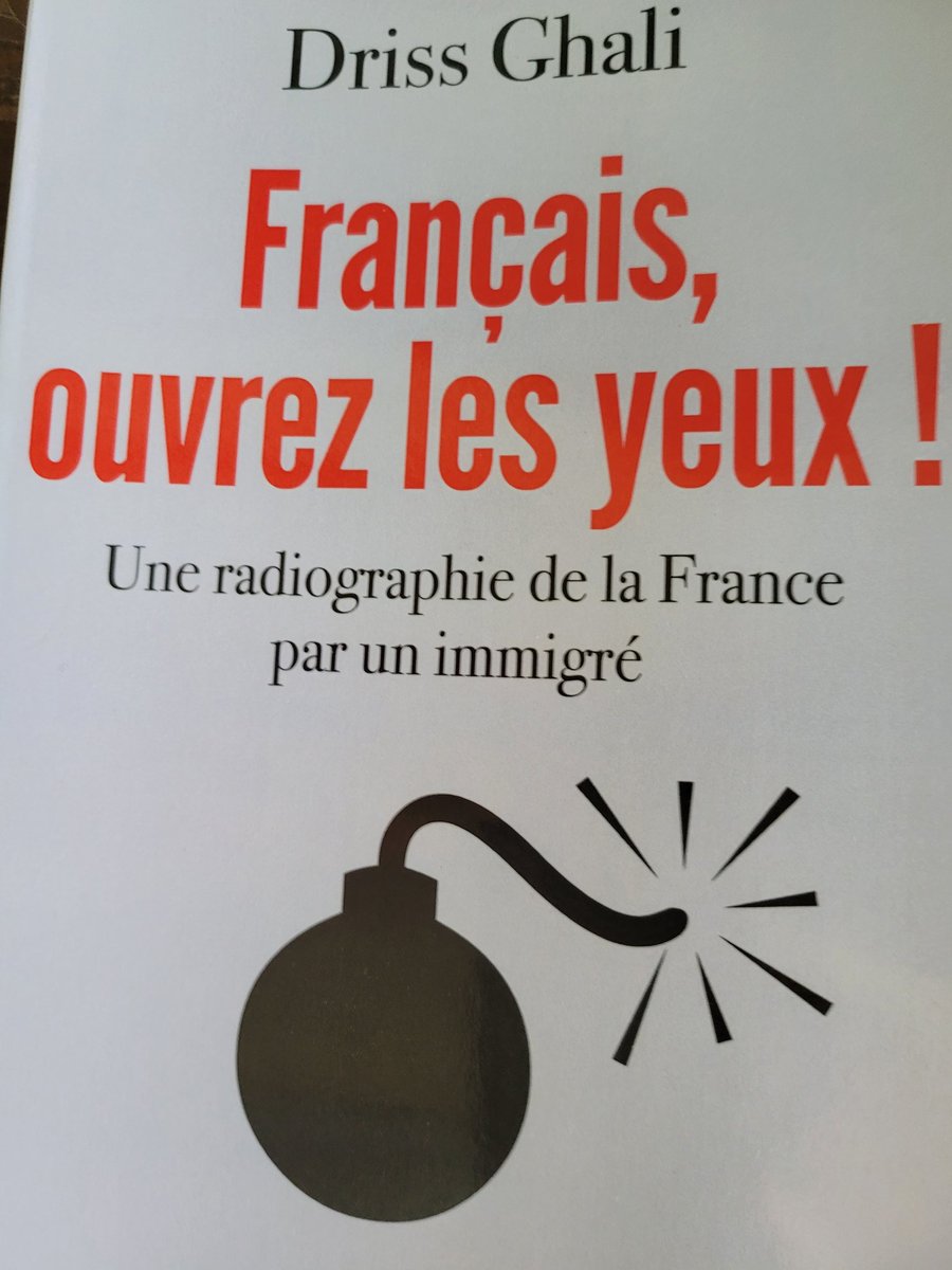 Un livre puissant, une analyse lucide et sans concession, 'radiographie de la France faite par un immigré' comme l'indique l'auteur. A lire pour comprendre la France en Europe.