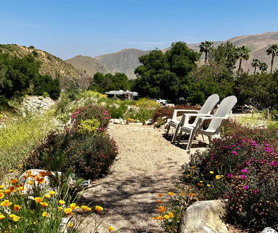 Glen Eden has so many little meandering paths for you to discover! This one takes you to one of our dry camp areas and is rimed with gorgeous spring blooms right now. Come meander around #GlenEden, rest in these chairs & watch the sunset behind the hills of #SouthernCalifornia