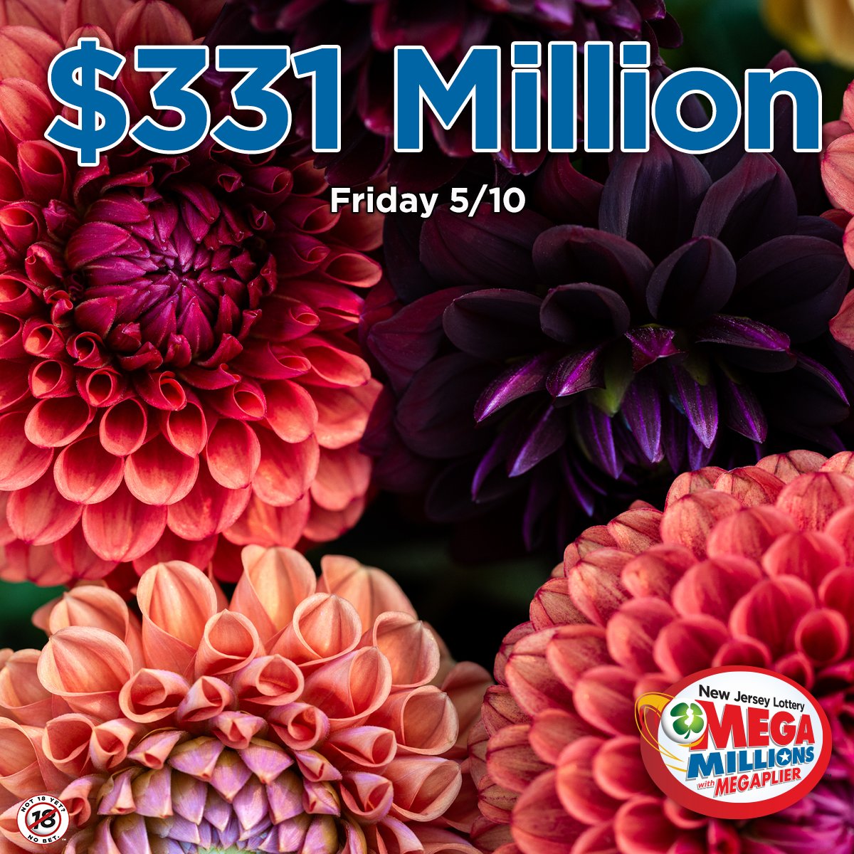 We’re dreaming of a #MegaMillions garden filled with flowers and fortune! 🌸🌺🌷Are you getting your ticket for Friday’s $331,000,000 jackpot?! Let us know! For Mega Millions game odds, visit NJLottery.com/MegaMillions. #AnythingCanHappenInJersey 🍀