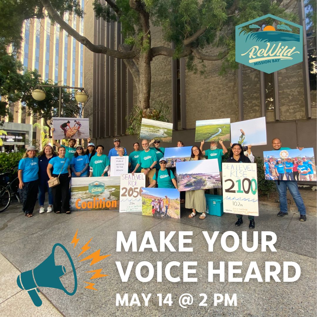 How You Can Help:
Attend the Crucial City Council Meeting
When: Tuesday, May 14, 2024, at 1 PM
Where: City Administration Building, Council Chambers - 12th Floor, 202 C Street, San Diego, CA 92101
Read the blog: bit.ly/3Qxr6yA

#ReWildMissionBay #MissionBay