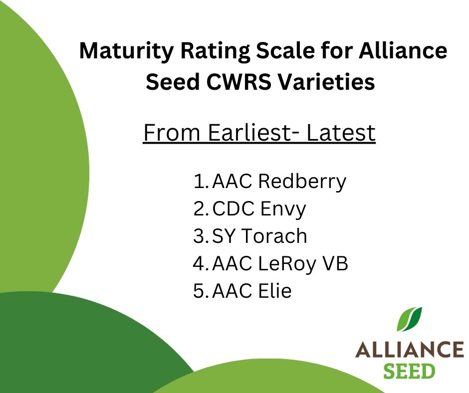 Yesterday we conducted a poll to see what else was important when choosing a wheat variety besides yield. The top answer? Maturity! Check out this quick reference guide on Alliance Seed's maturity rating scale.  👇 #EverySeedStartsAStory #CWRSReference