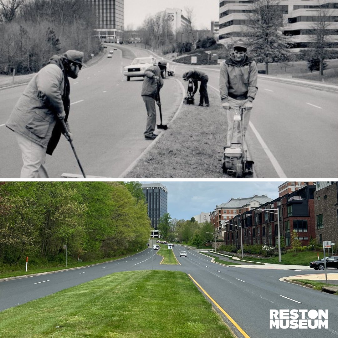 Working on the median near the Sheraton Inn and International Conference Center- both opened in 1972. 

Image: 2018.03.118 

Additional archives on our website- restonmuseum.org/our-collection 

#Reston #RestonMuseum #RestonPastToPresent