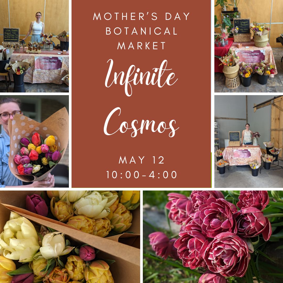 Get your flowers for the mom's and mom figures in your life at the Eldon House Botanical Market! Visit Infinite Cosmos and pick up a beautiful bouquet! #ShopLocal #MothersDay #Flowers