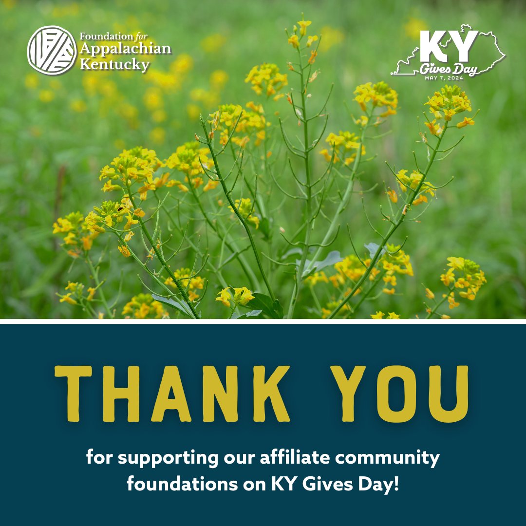 Thank you to everyone who donated on KY Gives Day to support our affiliate community foundations and their goals! 

#communityfoundations #dothingsdifferently #EKY #leavealegacy #kyproud #philanthropy