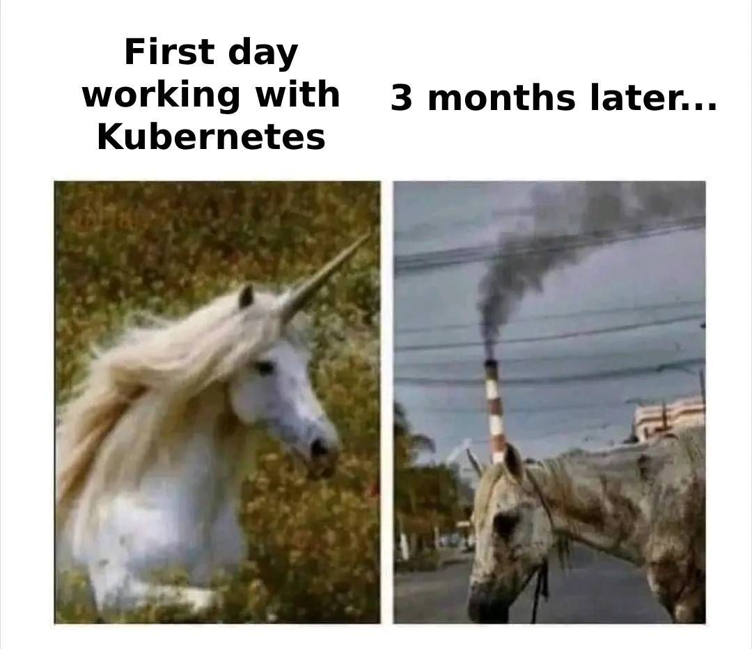memenetes's tweet image. 7y in and still feeling it