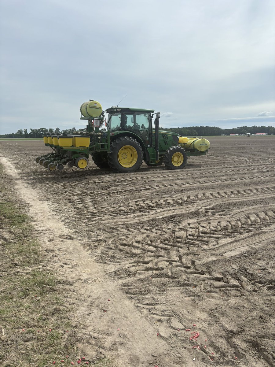 The Legume Lab has peanuts in the ground. Thanks to these two and the Peanut Belt Research Station for all your help. Looking forward to a great year.